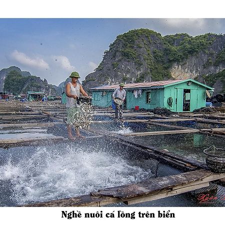 Cat Ba Hostelカットバ島 エクステリア 写真