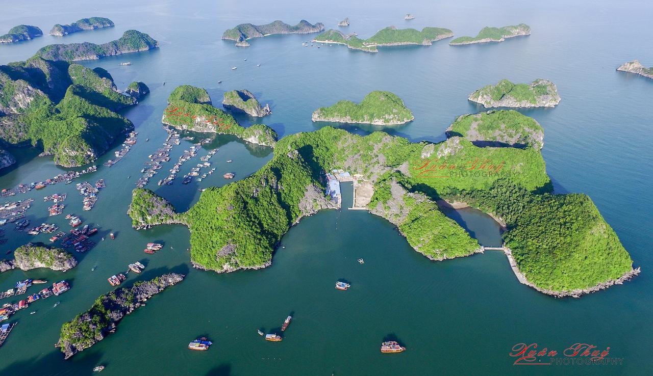 Cat Ba Hostelカットバ島 エクステリア 写真
