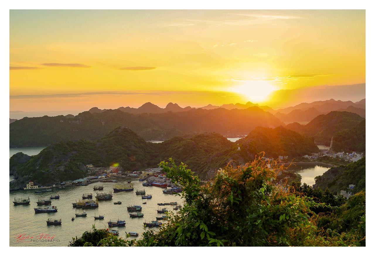 Cat Ba Hostelカットバ島 エクステリア 写真