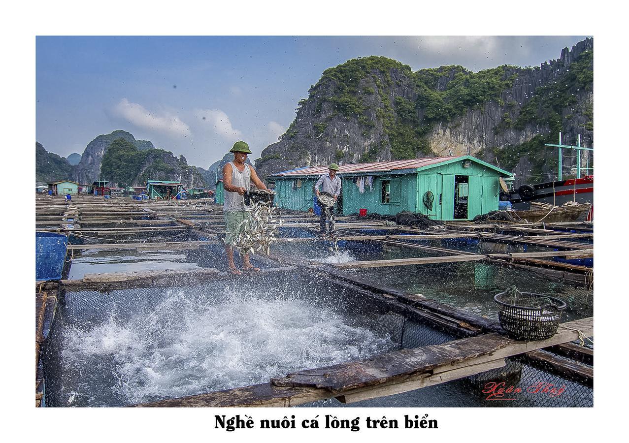 Cat Ba Hostelカットバ島 エクステリア 写真