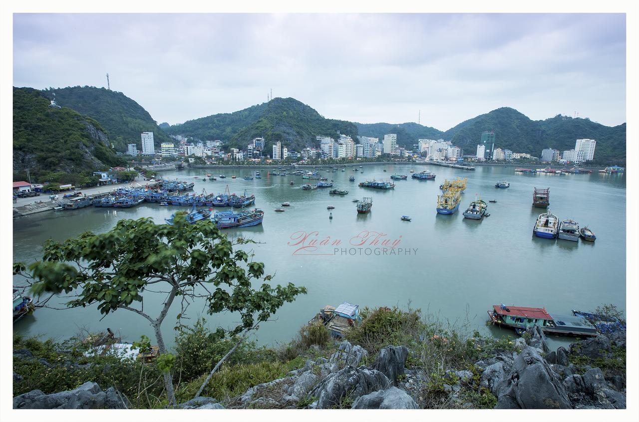 Cat Ba Hostelカットバ島 エクステリア 写真