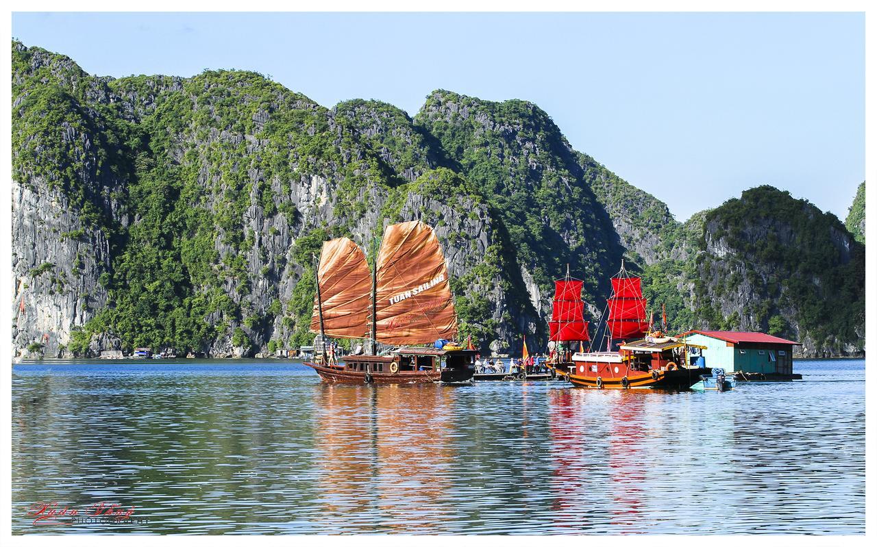 Cat Ba Hostelカットバ島 エクステリア 写真