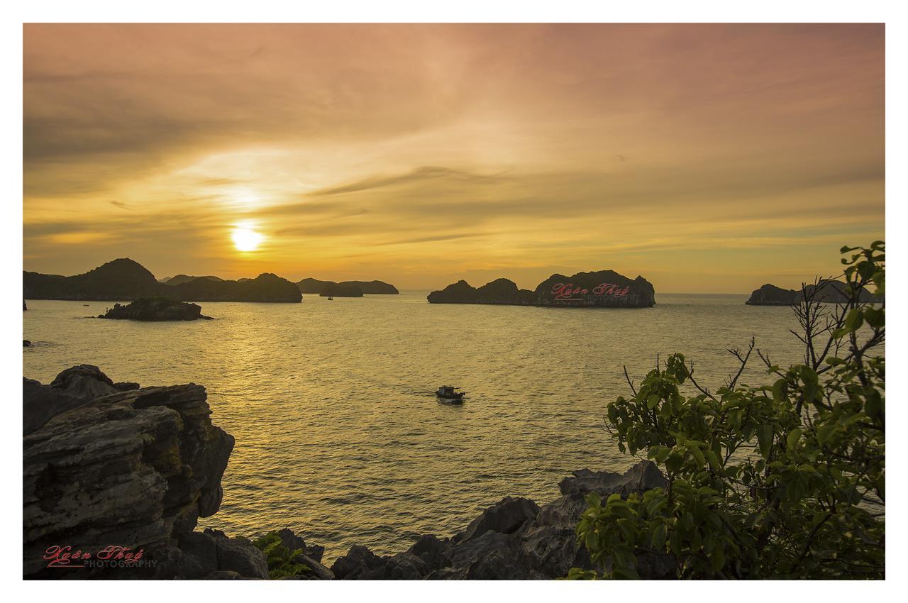 Cat Ba Hostelカットバ島 エクステリア 写真