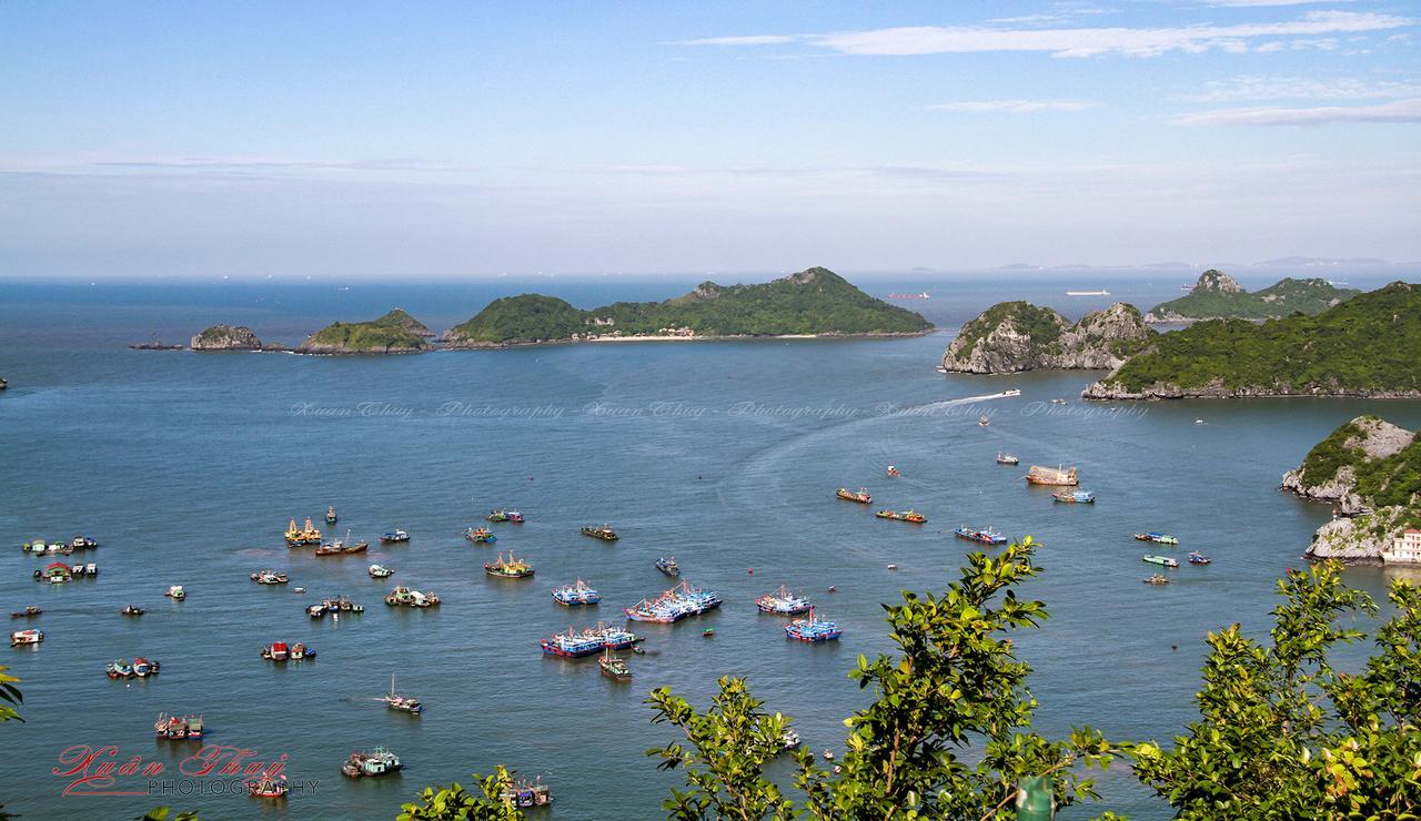 Cat Ba Hostelカットバ島 エクステリア 写真