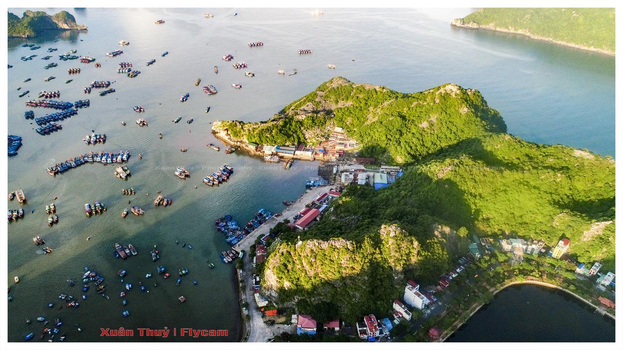 Cat Ba Hostelカットバ島 エクステリア 写真